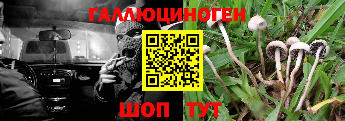 Галлюциногенные грибы MAGIC MUSHROOMS  Вход с VPN  Семилуки  Галлюциногенные грибы Cubensis 